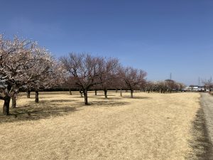IMG_1134
